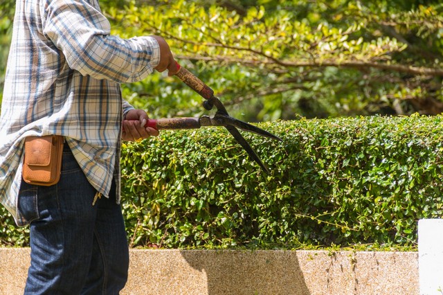 Garden Maintenance Tilbury, East Tilbury, West Tilbury, RM18